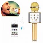 Nešiojamas karaoke bluetooth mikrofonas Wster 858